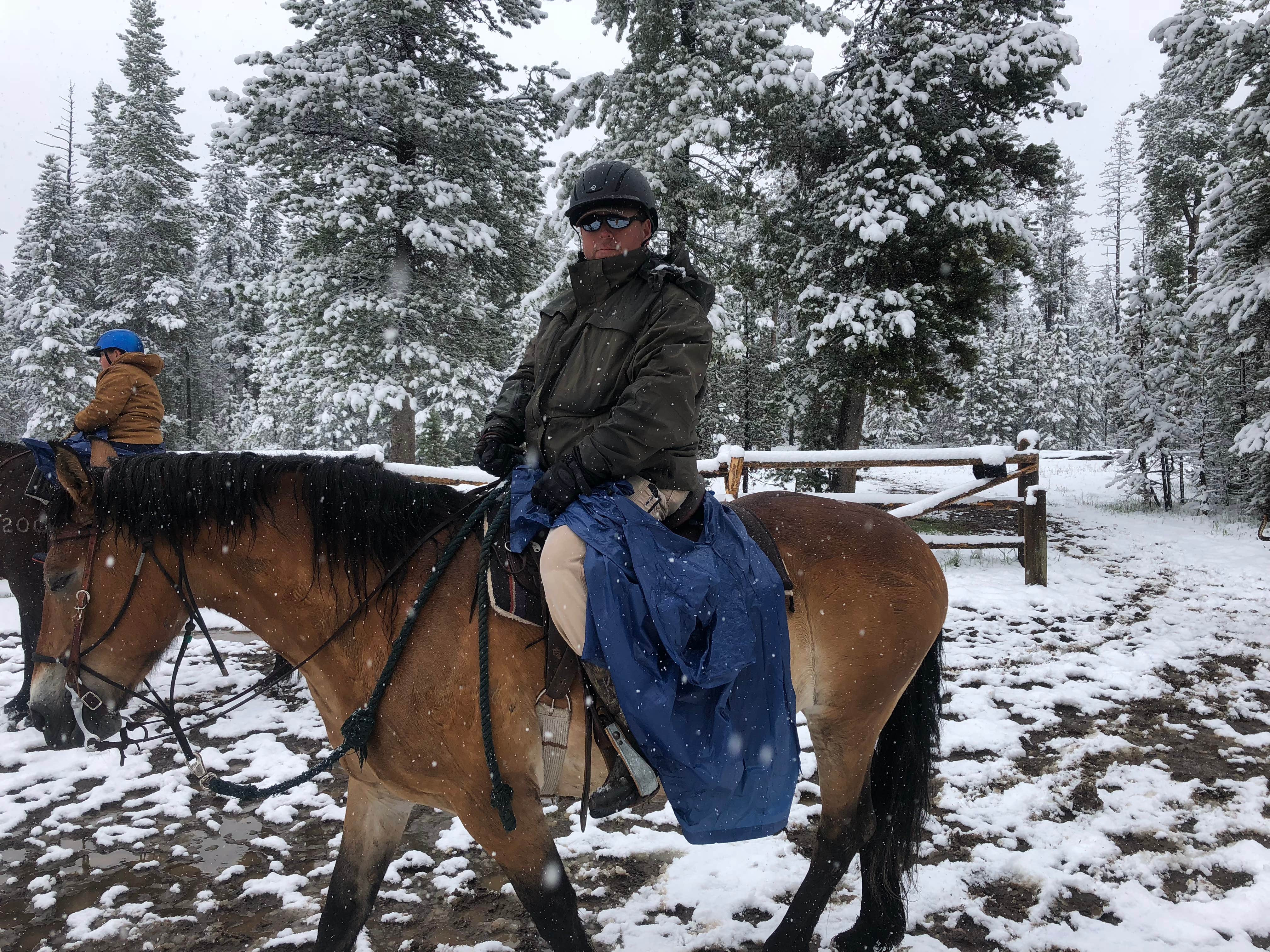 David N.'s photo of camping with a horse at Headwaters Campground at Flagg Ranch — John D. Rockefeller, Jr., Memorial Parkway near Island Park, ID