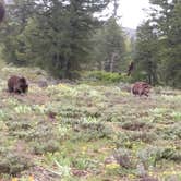 Review photo of Headwaters Campground at Flagg Ranch — John D. Rockefeller, Jr., Memorial Parkway by David N., December 3, 2019