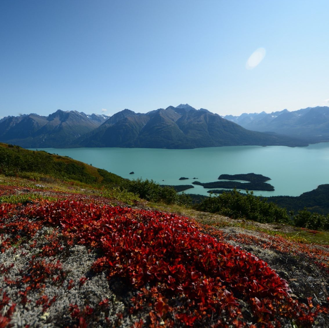 Camper submitted image from Joe Thompson Cabin — Lake Clark National Park & Preserve - 1