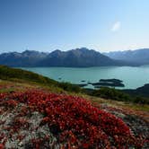 Review photo of Joe Thompson Cabin — Lake Clark National Park & Preserve by Beth H., December 5, 2019