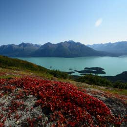 Joe Thompson Cabin — Lake Clark National Park & Preserve