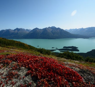 Camper-submitted photo from Joe Thompson Cabin — Lake Clark National Park & Preserve