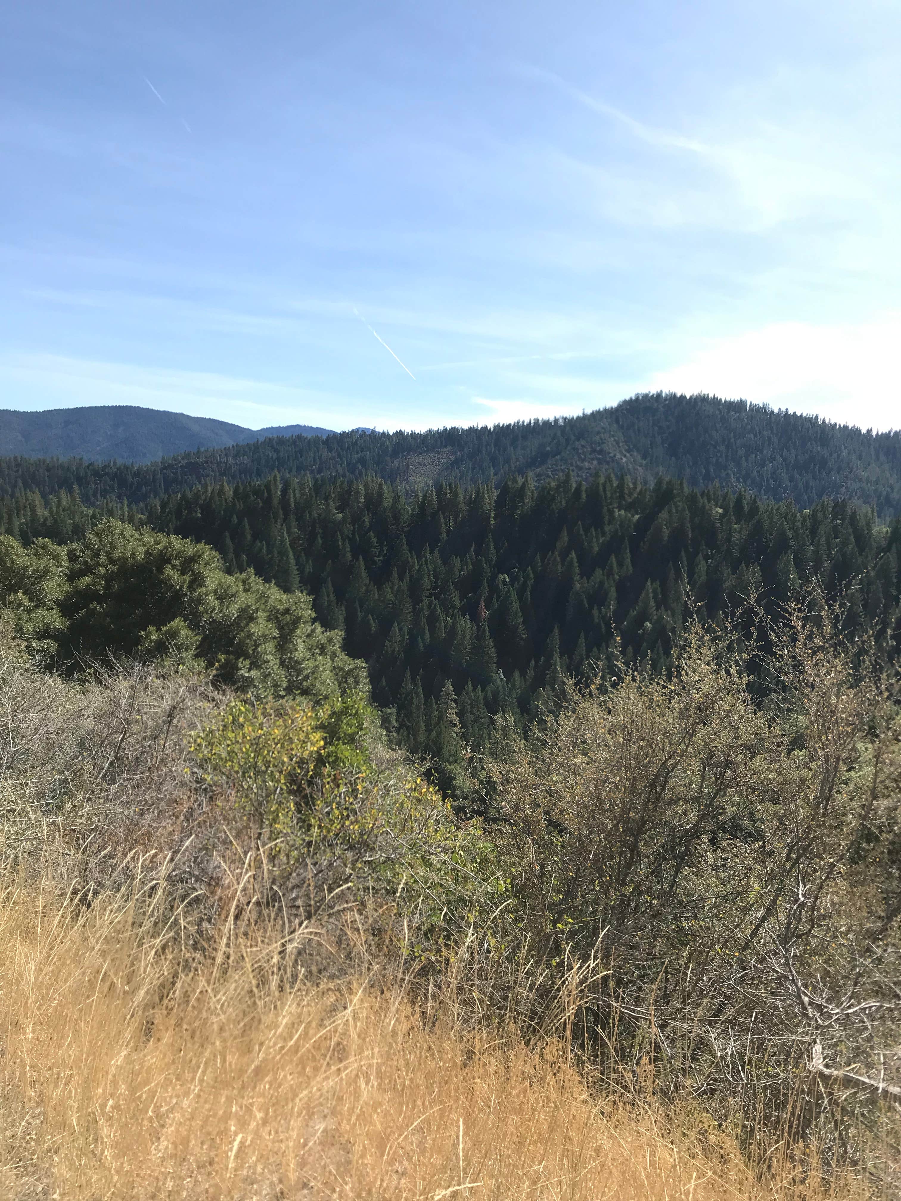 Camping near Post Creek Guard Station: Critter Creek Campground & RV Park, Platina, California