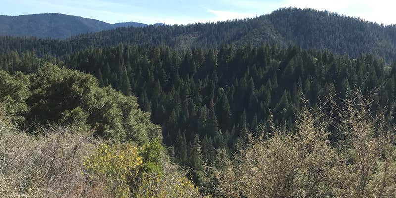 Camper submitted image from Critter Creek Campground & RV Park