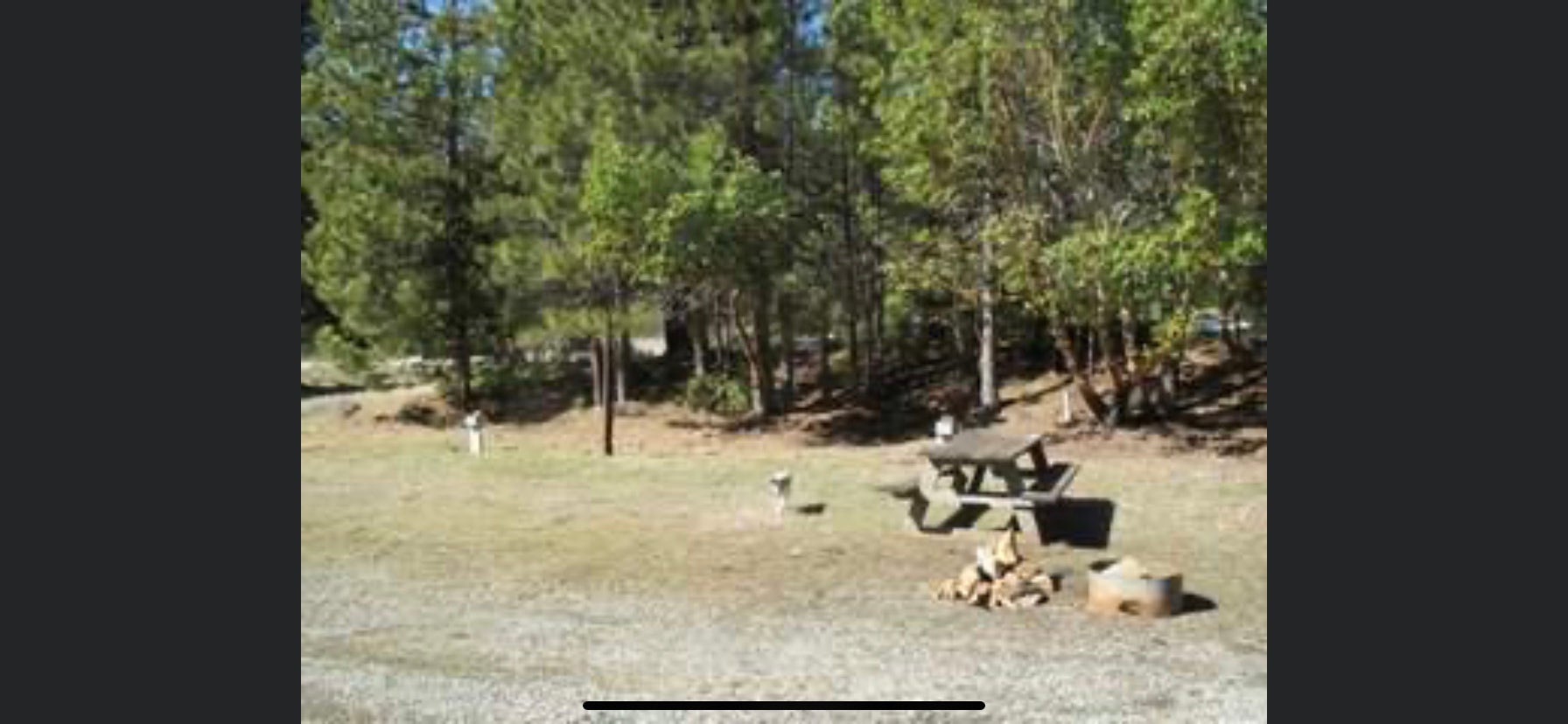 Camper submitted image from Critter Creek Campground & RV Park - 3