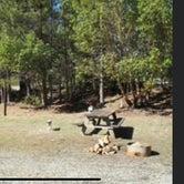 Review photo of Critter Creek Campground & RV Park by D T., December 5, 2019