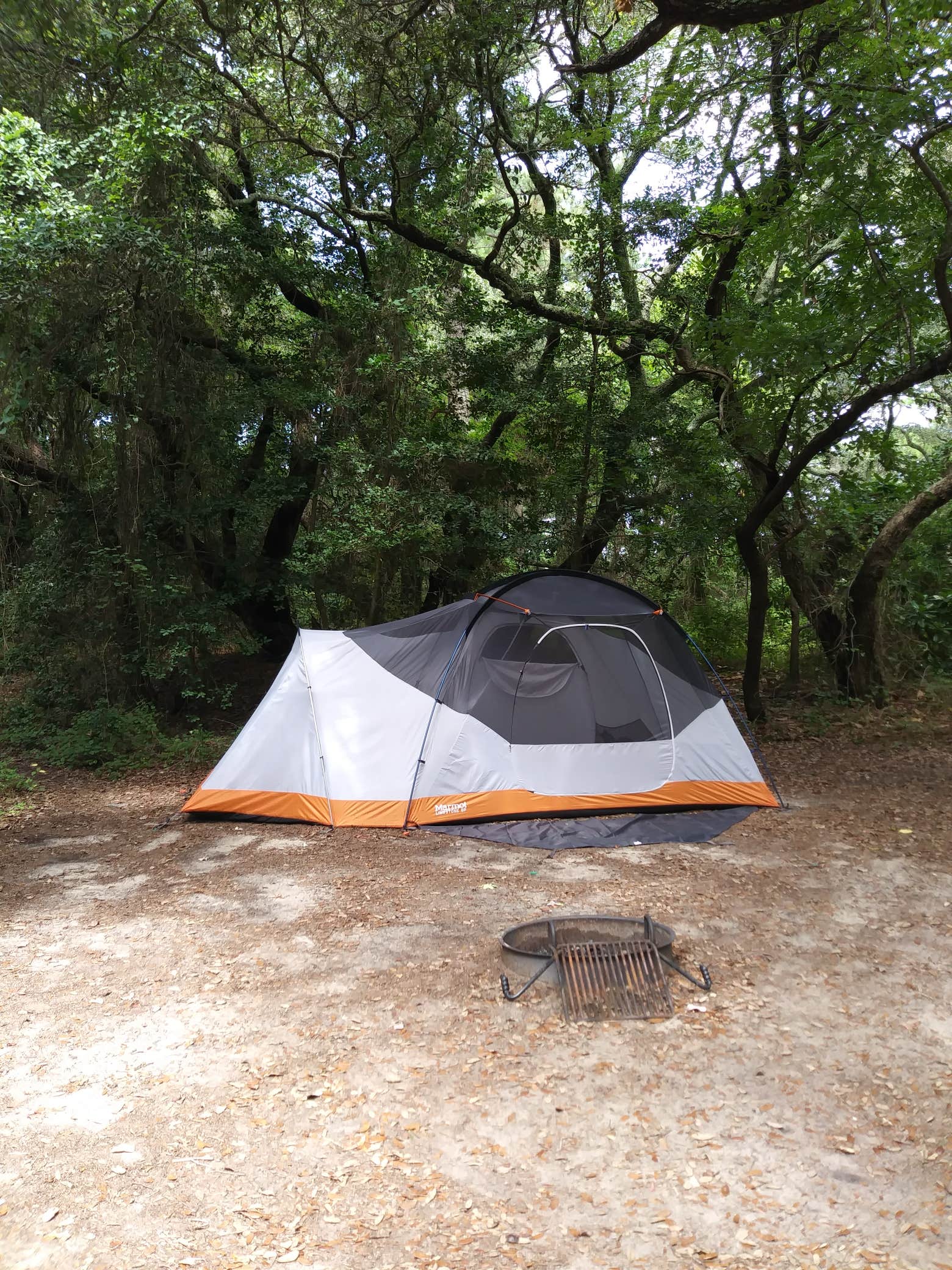 Bryan S.'s photo at First Landing State Park Campground near Chesapeake, VA