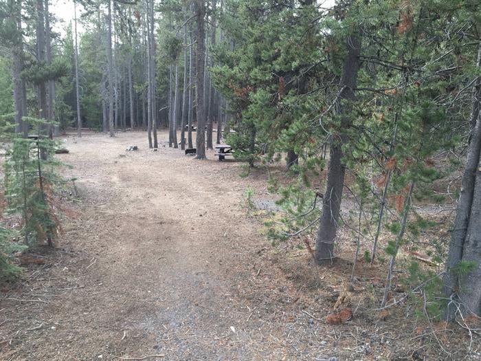 Camper submitted image from Cinder Hill Campground - 5