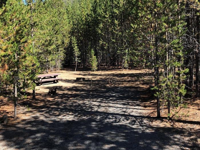 Camper submitted image from Cinder Hill Campground - 3