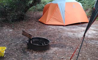 Bryan S.'s photo at First Landing State Park Campground near Chesapeake, VA
