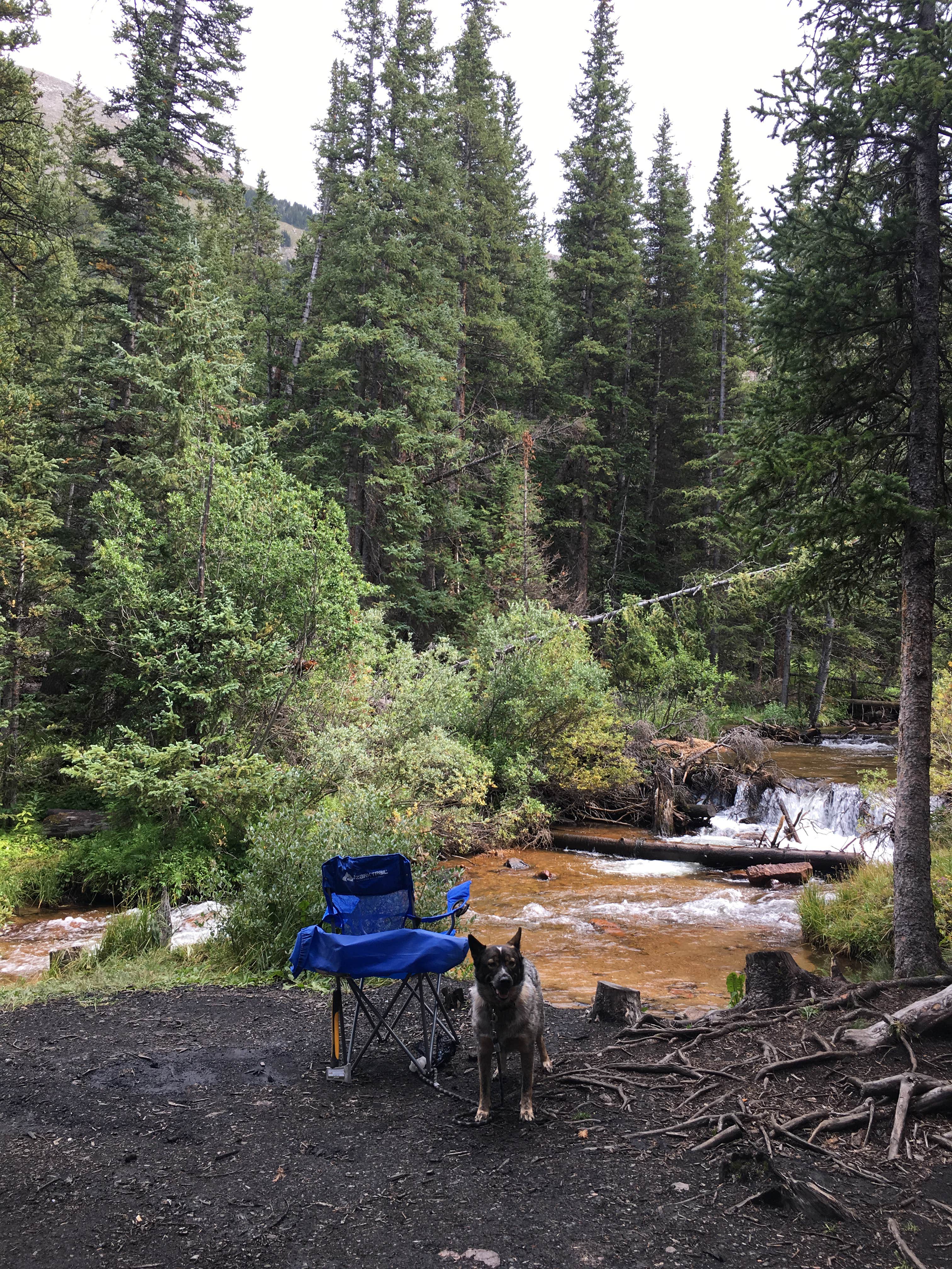Camper submitted image from Guanella Pass - 4