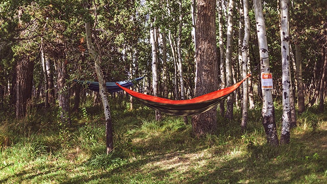 Our hammock park by the Yellowstone River