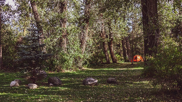 A spacious tent site