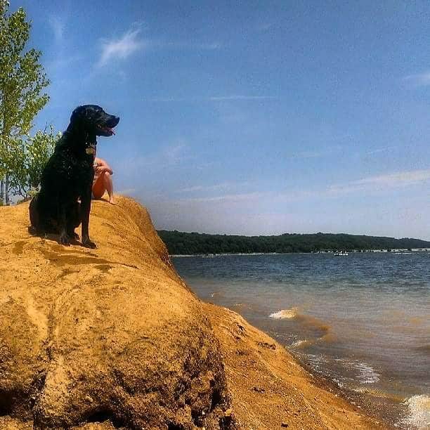 Karla H.'s photo of camping with pets at Paynetown Campground near Bloomington, IN
