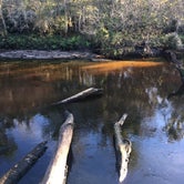 Review photo of Little Manatee River State Park Campground by Kaleb N., December 6, 2019