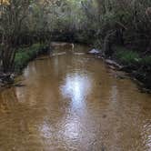 Review photo of Little Manatee River State Park Campground by Kaleb N., December 6, 2019