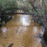 Review photo of Little Manatee River State Park Campground by Kaleb N., December 6, 2019