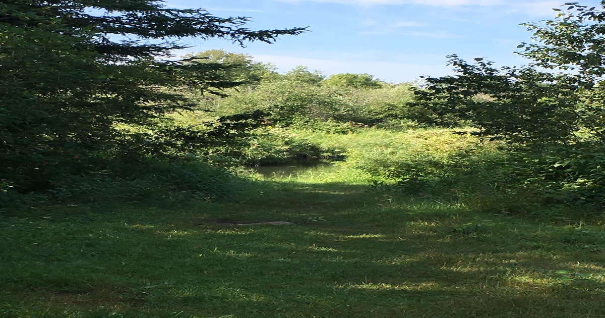 Coffee Pot Landing Camping Shevlin, MN