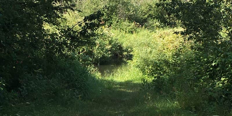 Camper submitted image from Coffee Pot Landing