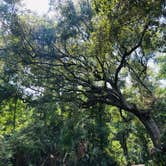 Review photo of Kathryn Abbey Hanna Park by Travyl Couple !., December 6, 2019