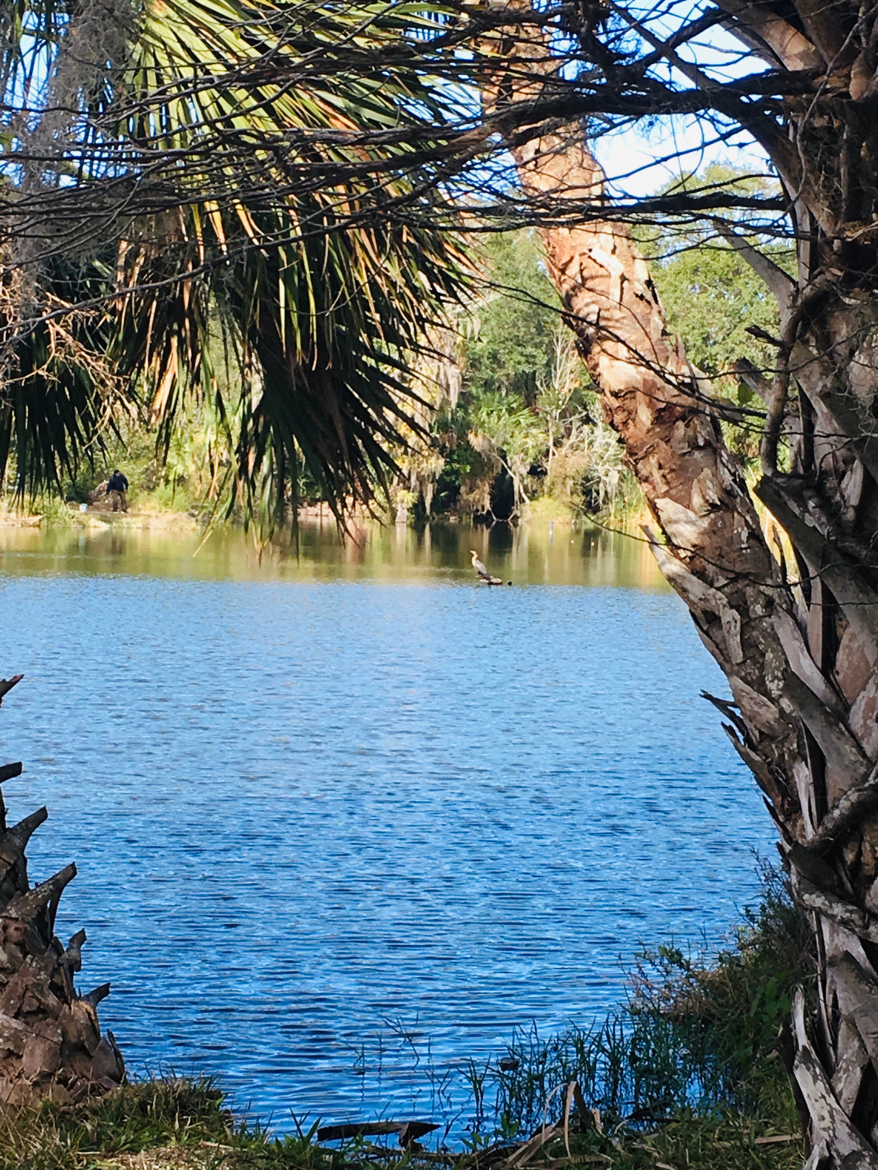 Lake view