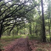 Review photo of Lake Louisa State Park Campground by Travyl Couple !., December 7, 2019