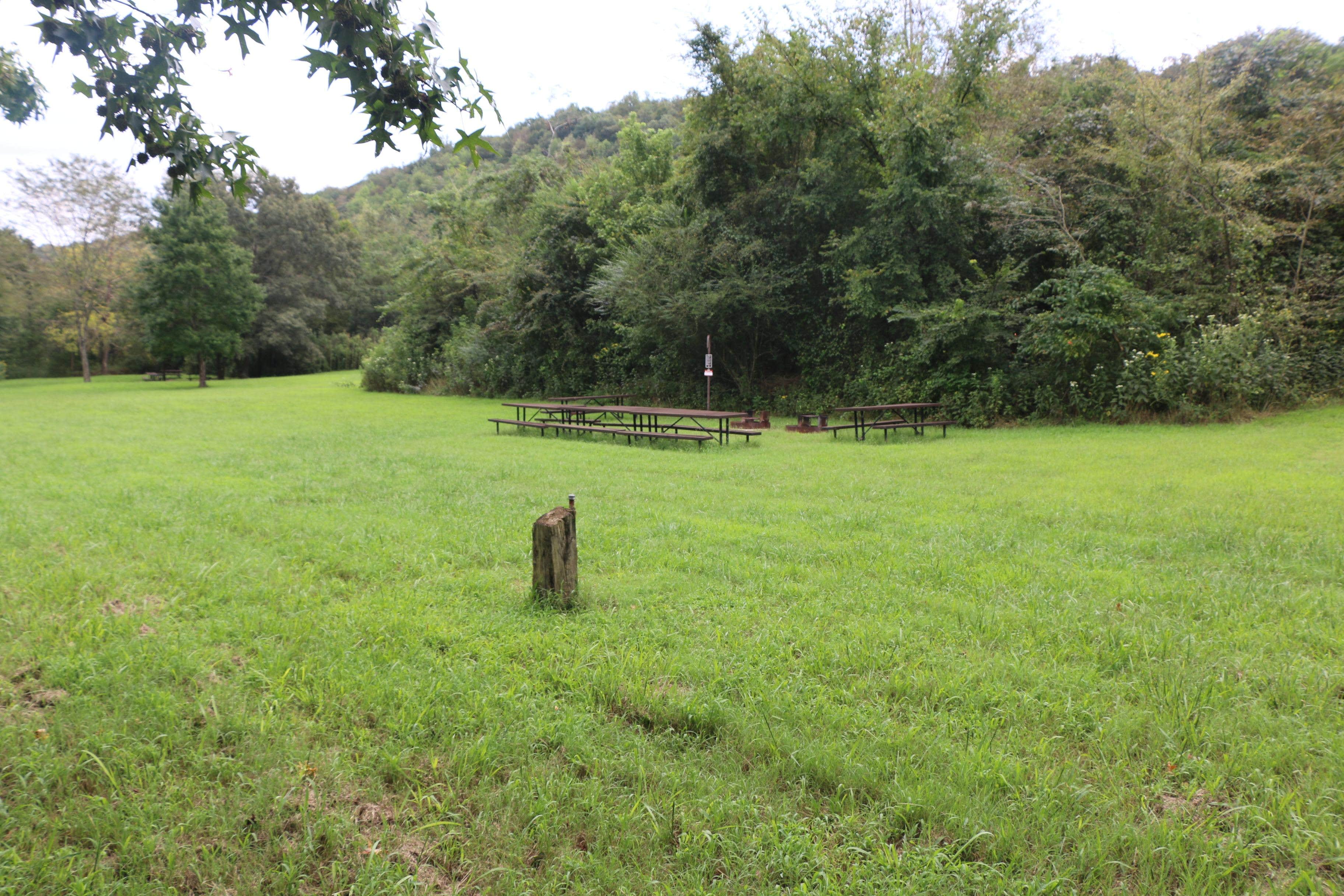 Camper submitted image from Erbie Campground — Buffalo National River - 1