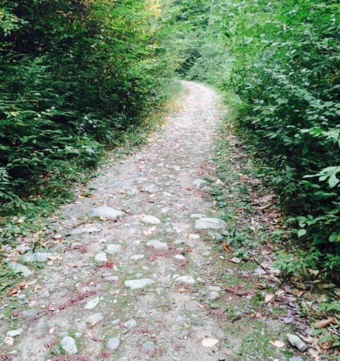 Roads