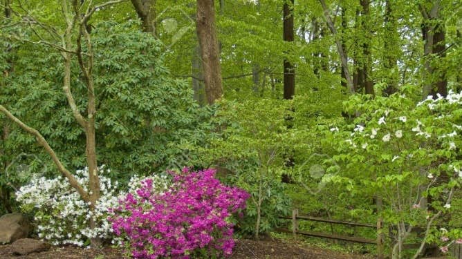 Camper-submitted photo at Granite Creek Camp — Mount Rainier National Park near Lake Tapps, WA
