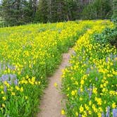 Review photo of Granite Creek Camp — Mount Rainier National Park by Julie P., August 24, 2017