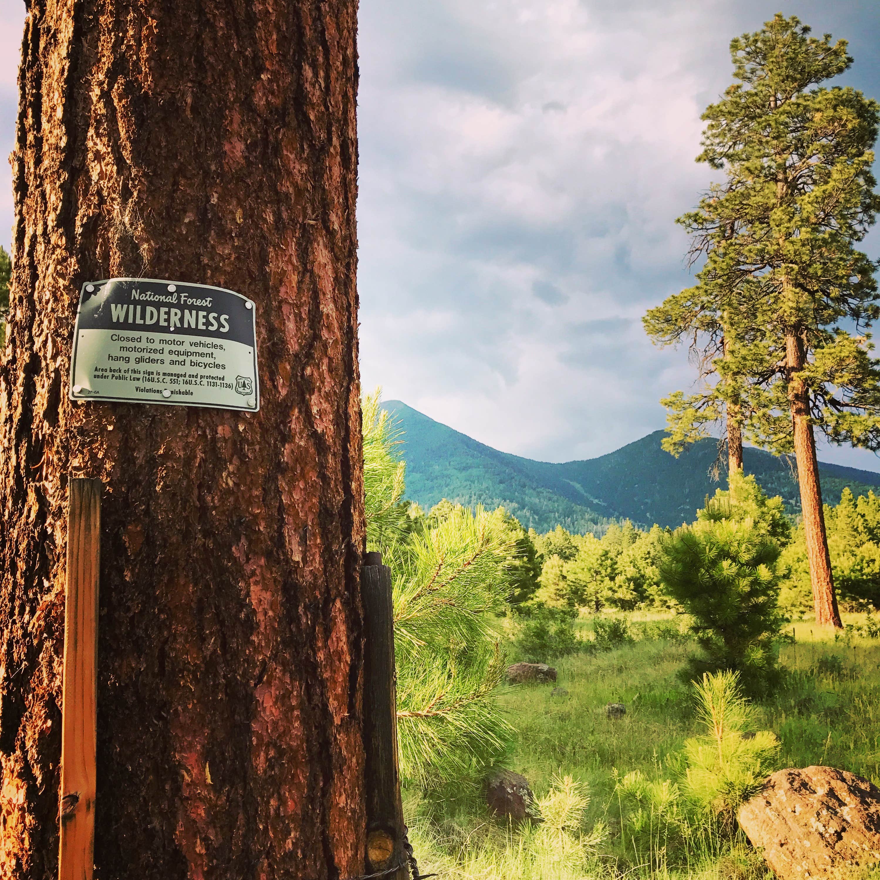 Camper-submitted photo at Freidlein Prairie Dispersed Camping near Bellemont, AZ