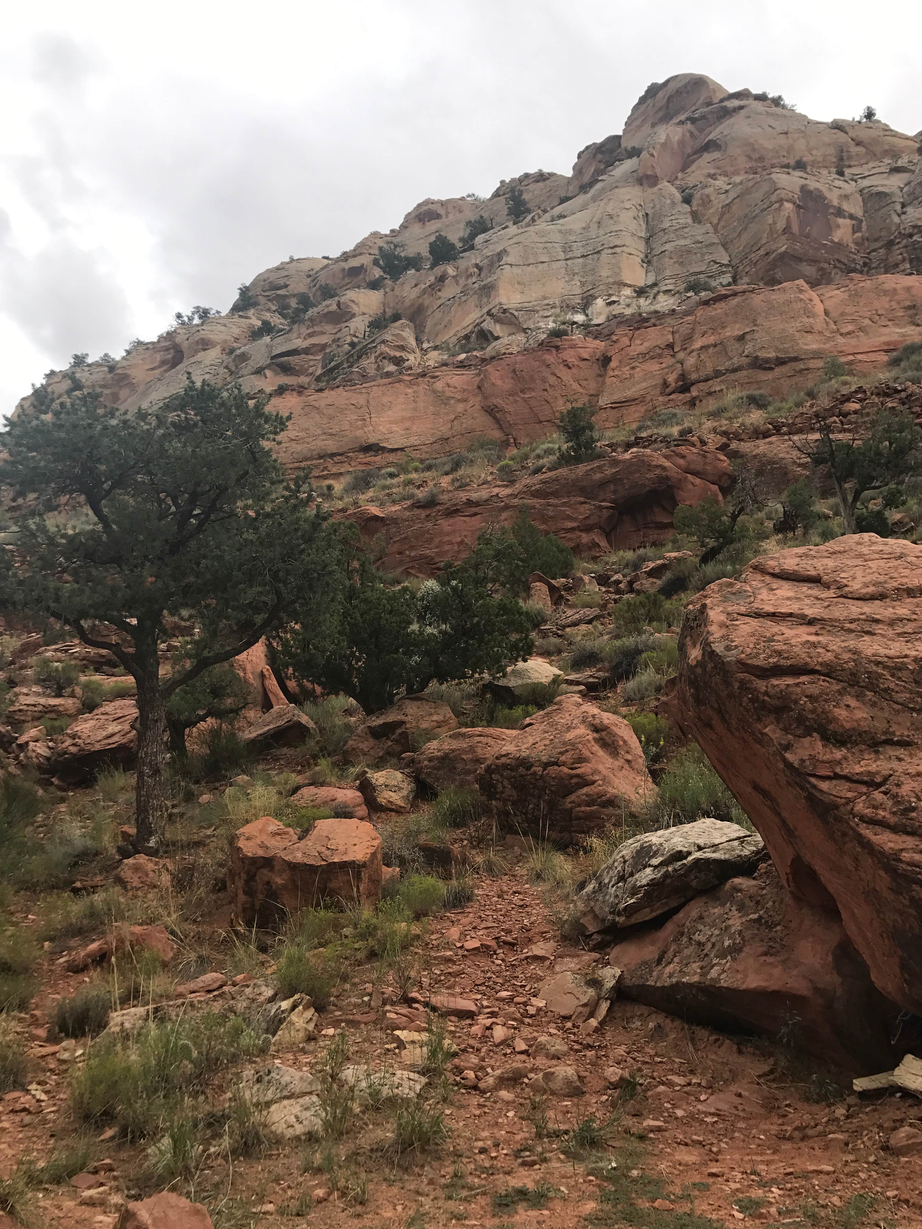 Camper-submitted photo at Calf Creek Campground near Escalante, UT