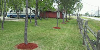 Camper submitted image from Little Thicket RV Park