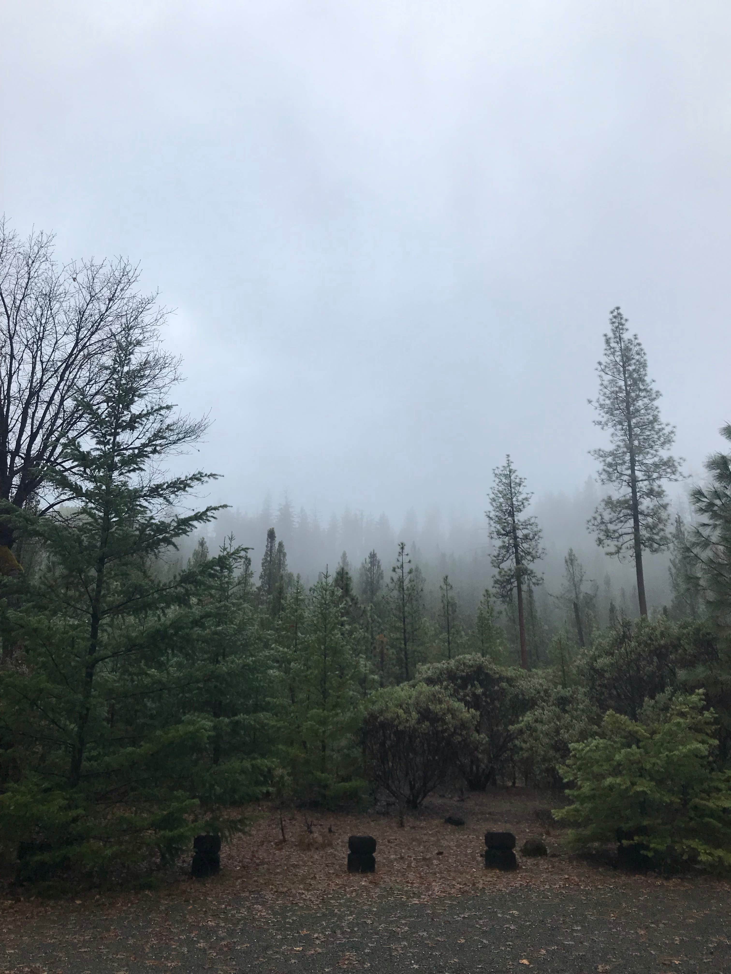 Camper-submitted photo at Watkins near White City, OR