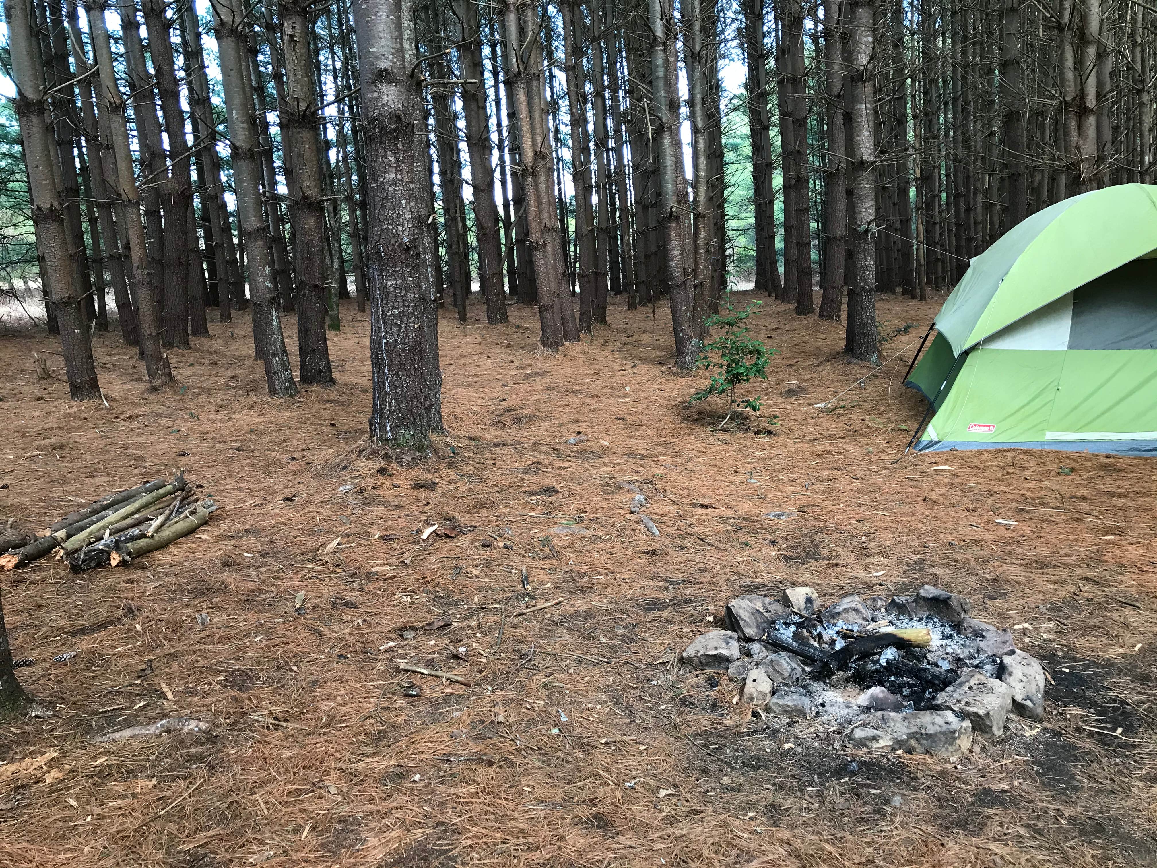 Ray G.'s photo at Hammock Sway near Altamont, TN