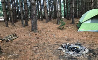 Ray G.'s photo at Hammock Sway near Altamont, TN