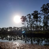 Review photo of Long Pine Key Campground — Everglades National Park by Melissa  P., December 9, 2019