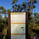 Review photo of Long Pine Key Campground — Everglades National Park by Melissa  P., December 9, 2019