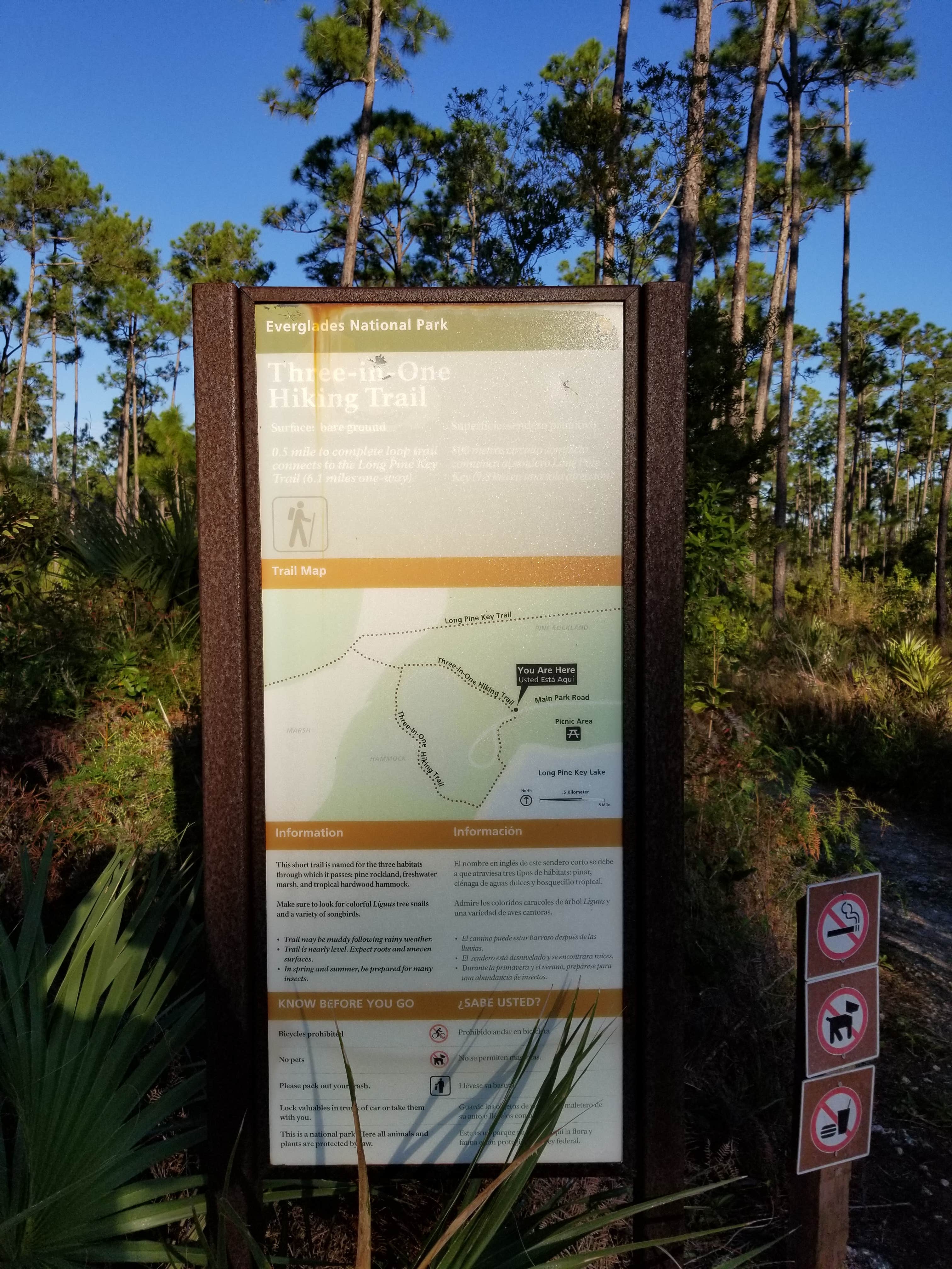 Camper submitted image from Long Pine Key Campground — Everglades National Park - 5