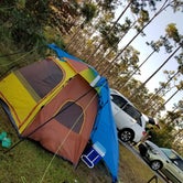 Review photo of Long Pine Key Campground — Everglades National Park by Melissa  P., December 9, 2019
