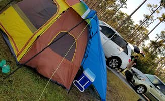 Melissa P.'s photo at Long Pine Key Campground — Everglades National Park near North Miami, FL