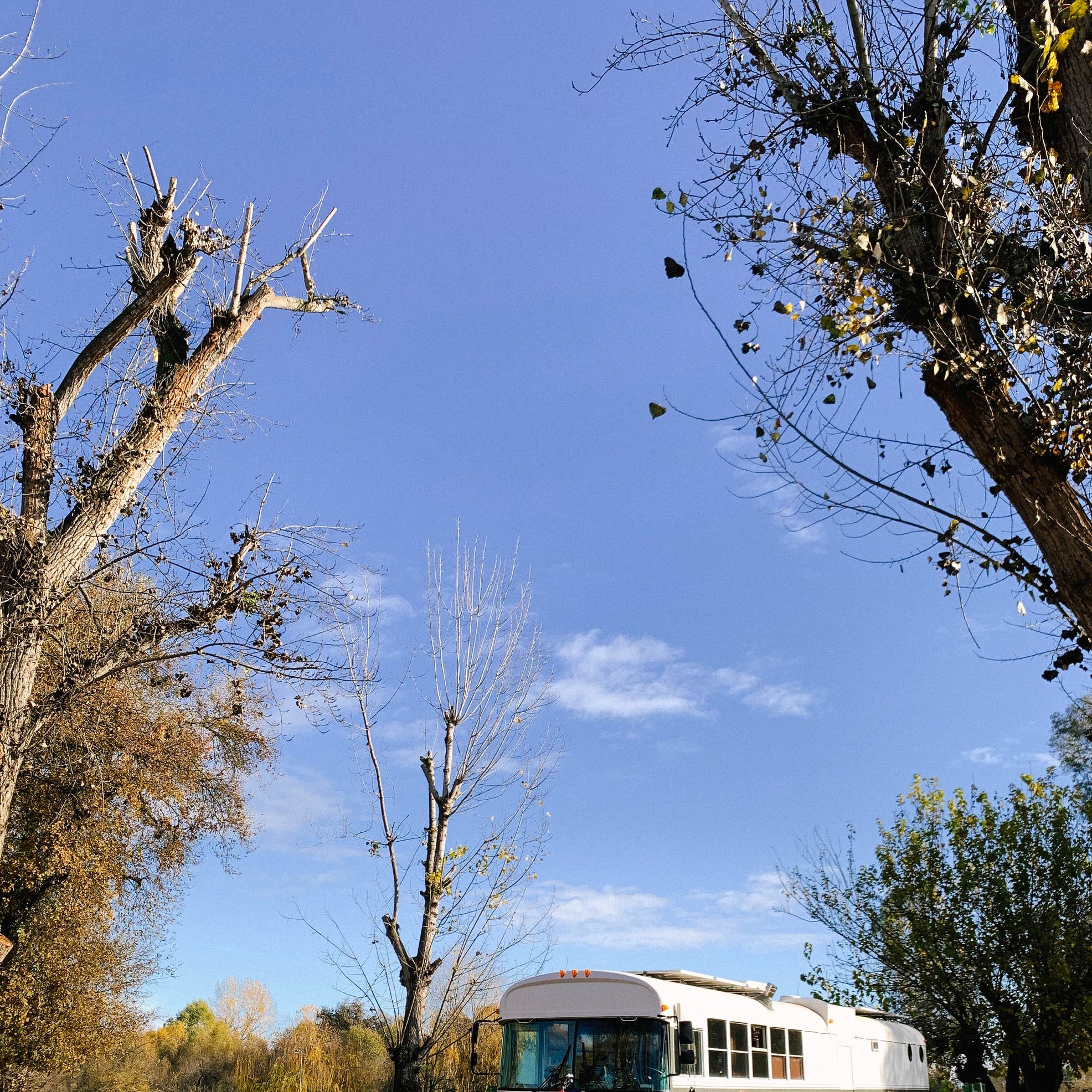 Lindy's Landing and Campground | Goshen, California