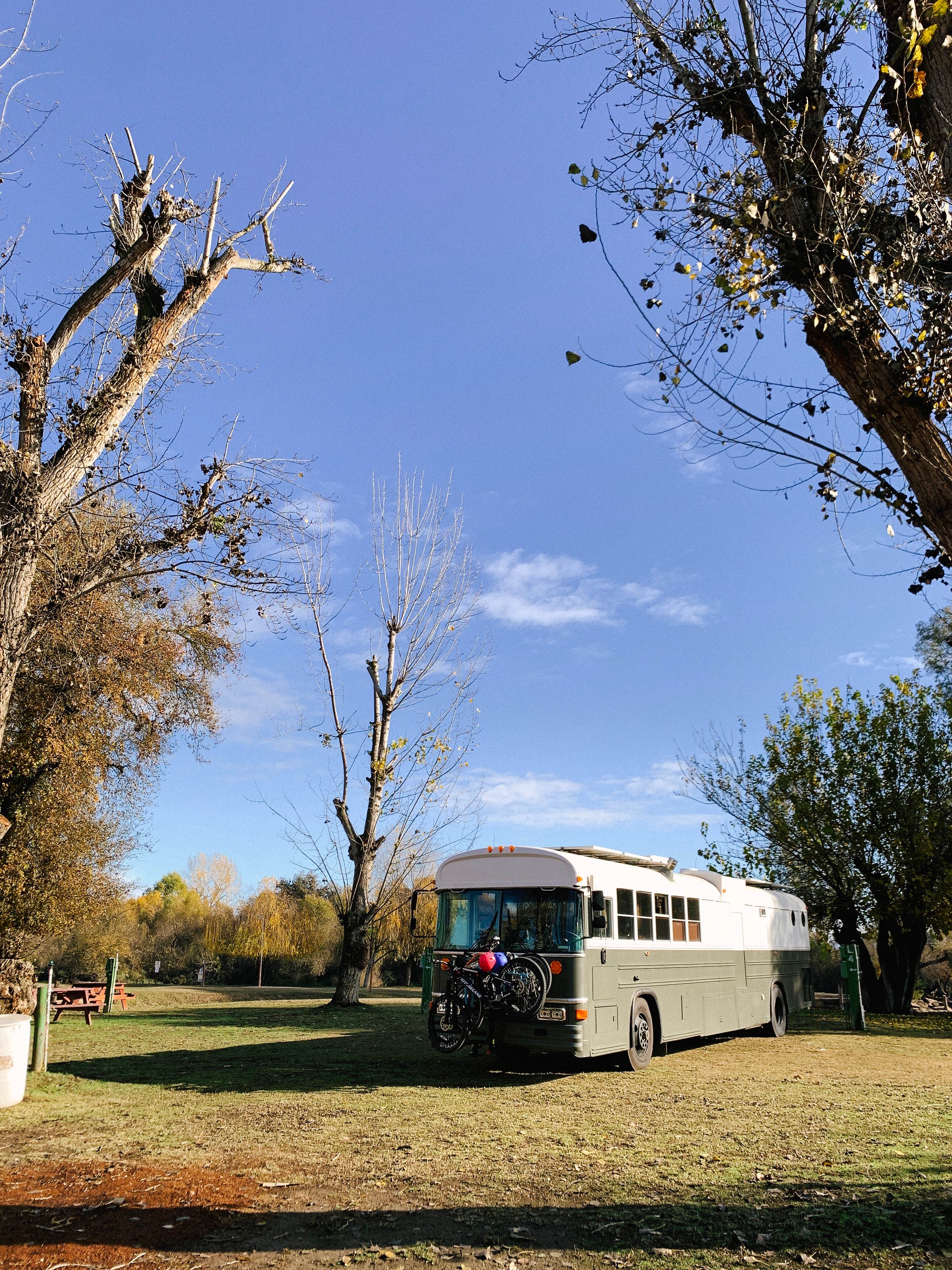 Camper submitted image from Lindy's Landing and Campground - 2