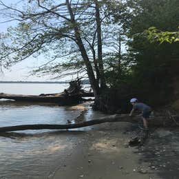 Chippokes Plantation State Park