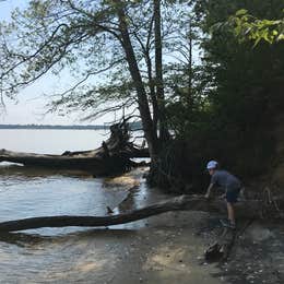 Chippokes State Park