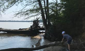 Camping near Fort Eustis Recreation Area: Chippokes State Park Campground, Jamestown, Virginia