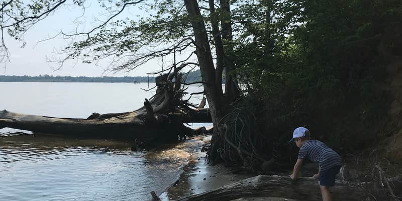 Camper submitted image from Chippokes State Park Campground