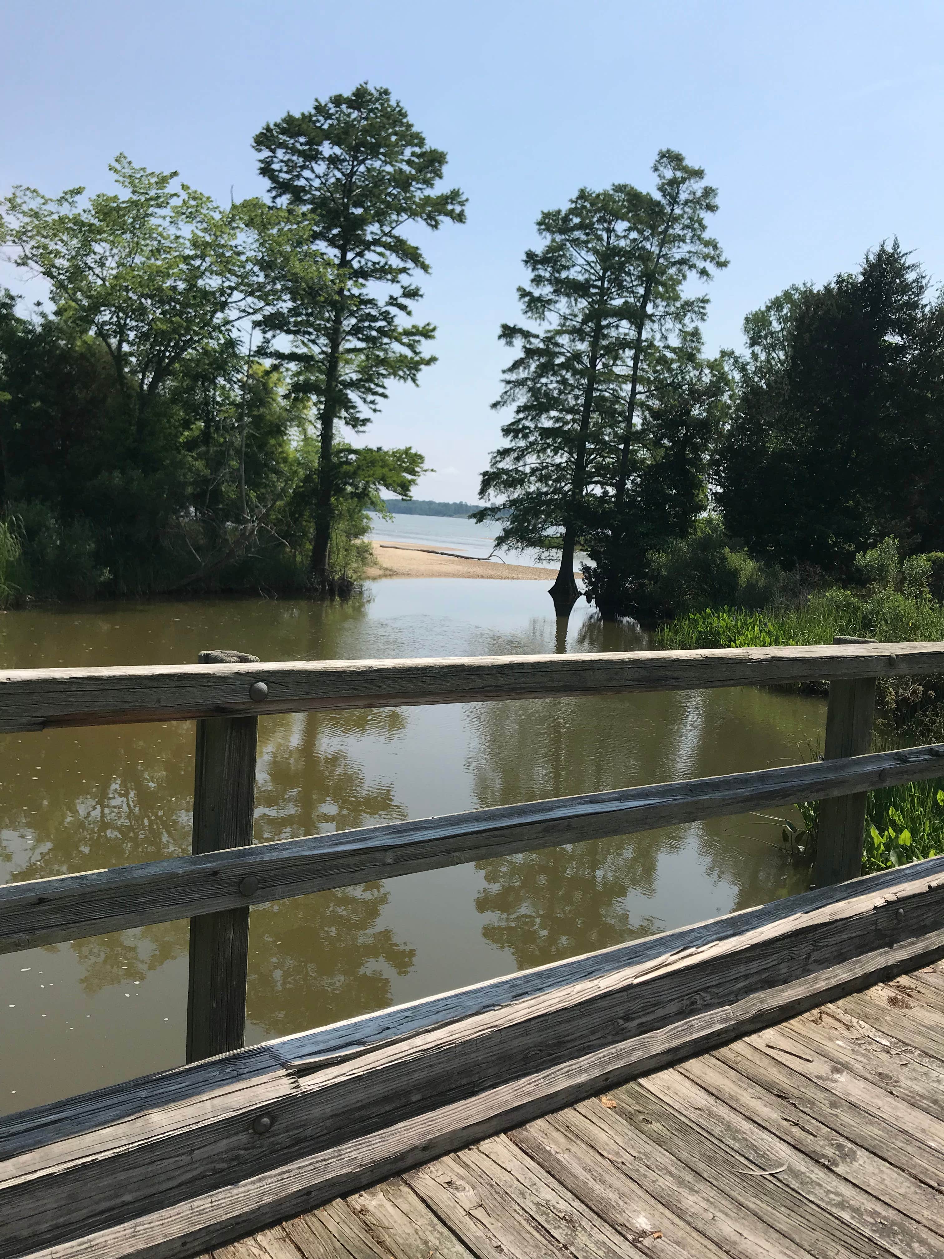 Chippokes State Park Campground Surry, VA