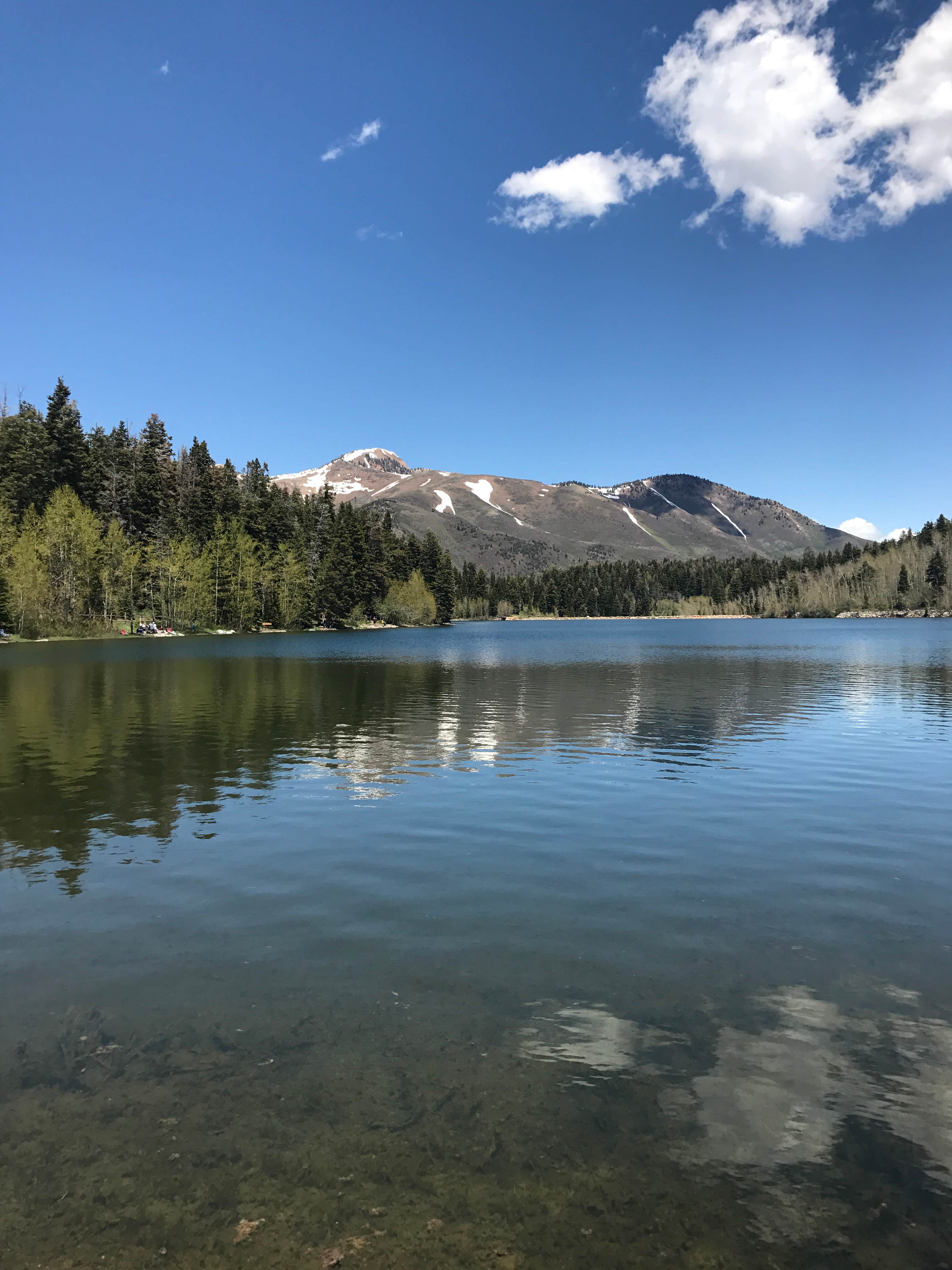 Camper submitted image from Payson Lakes - 4