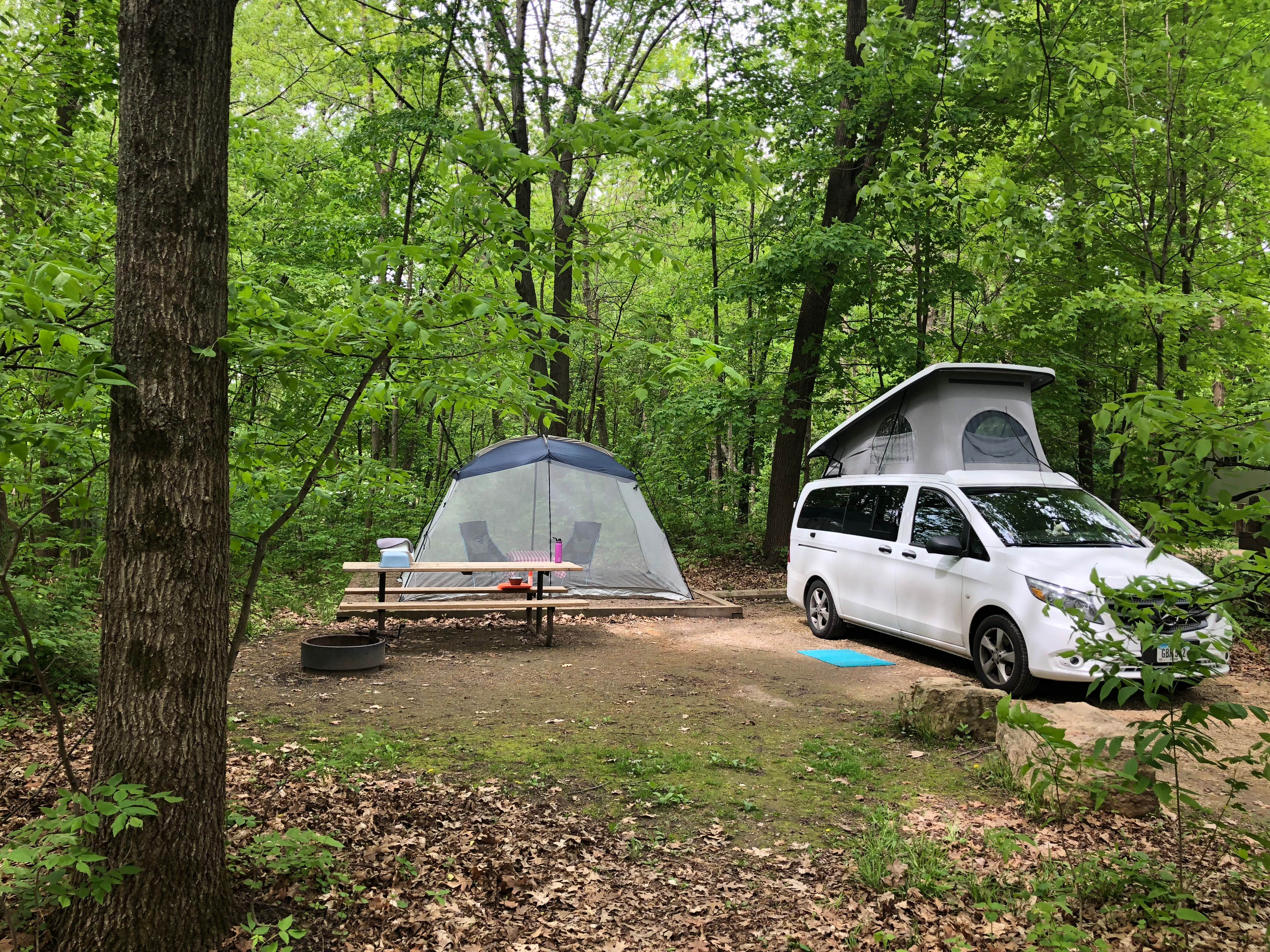 Lee D.'s photo at Frontenac State Park Campground in Minnesota